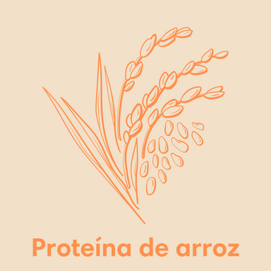Proteína de arroz 
