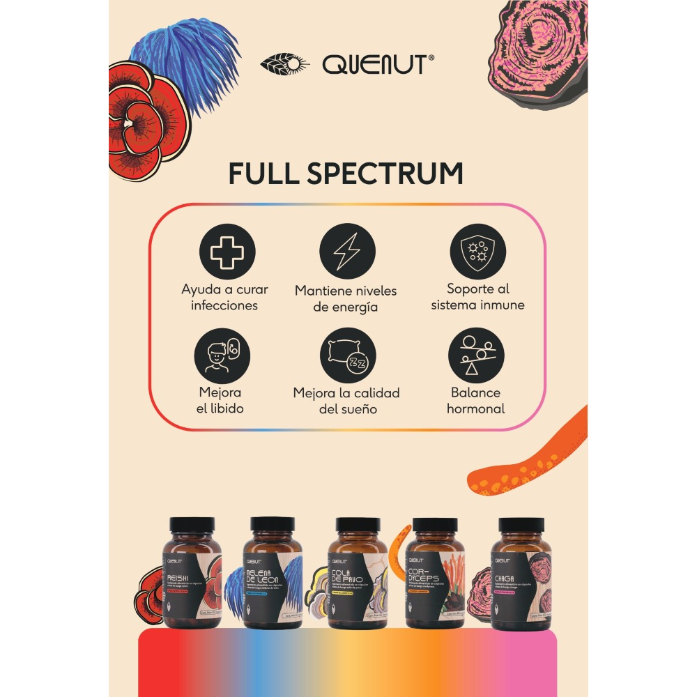 Kit full spectrum